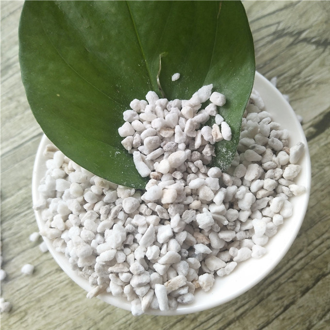 房頂蔬菜種植的重要幫手：珍珠巖